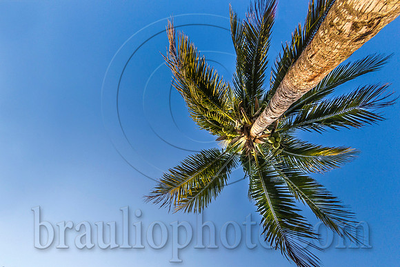 BHD_0793_1