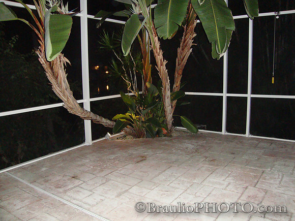 DSC06856