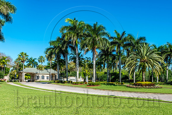 BHD_8809_1