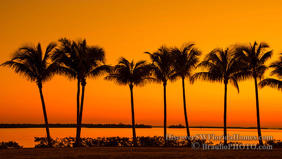 Tarpon Point Marina, Silver King Boulevard, Cape Coral, FL
