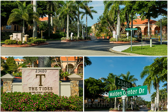 The TIDES entrance collage