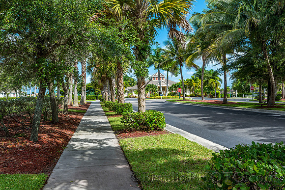 BHD_0409