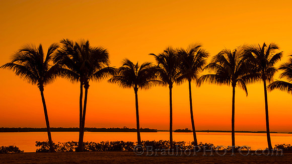 Tarpon Point Marina, Silver King Boulevard, Cape Coral, FL