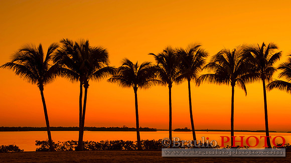 Tarpon Point Marina, Silver King Boulevard, Cape Coral, FL