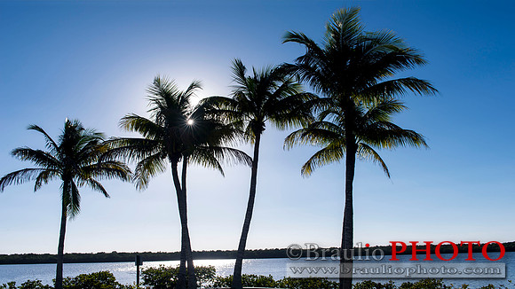 Tarpon Point Marina, Silver King Boulevard, Cape Coral, FL