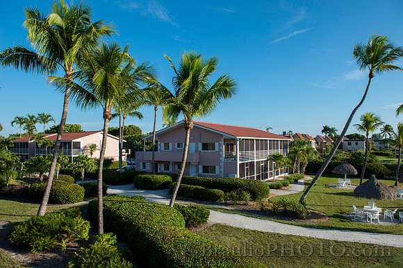 BHD_4238