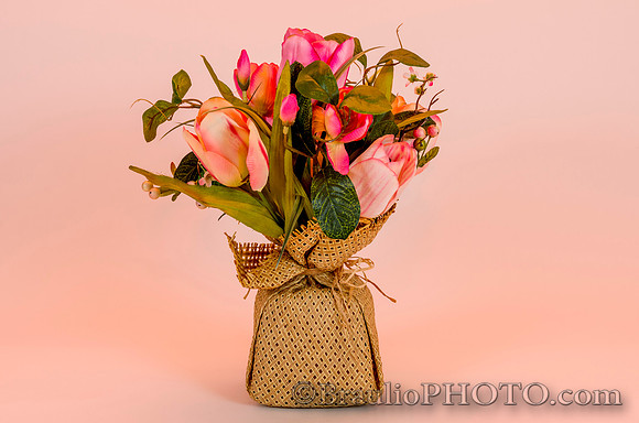 Flower Background Pink