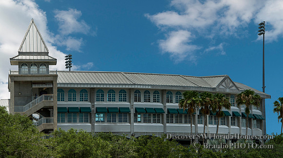 hammond stadium fort myers