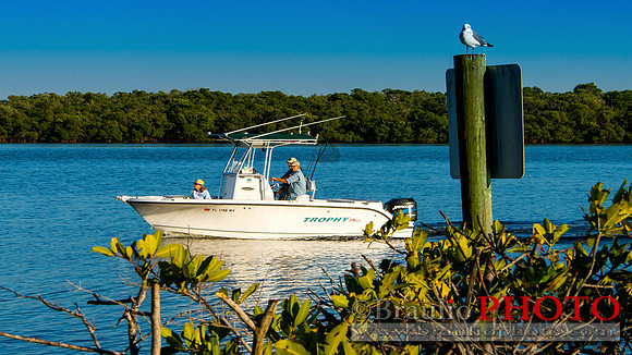 Tarpon Point Marina, Silver King Boulevard, Cape Coral, FL